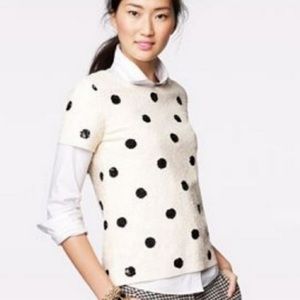 JCrew Factory/Mercantile Sequin Polka Dot T-shirt Sz. S